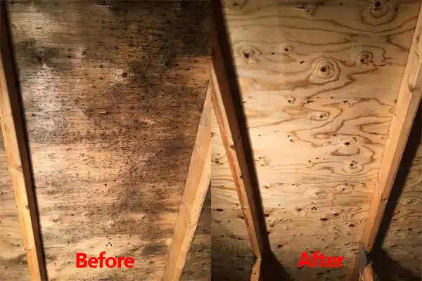 water damage restoration service Brewster Hill